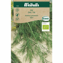 Dill økologisk - Sari